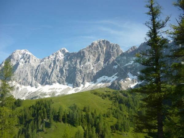 Az Osztrák-Alpok virágoskertje