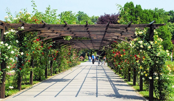 Rózsafesztivál Baden bei Wienben és a Laxenburgi Kastélypark 2023