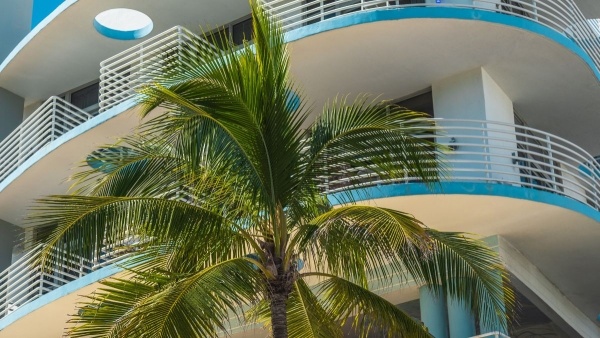 MIAMI BEACH VARÁZSA - ART BASEL MIAMI BEACH ****