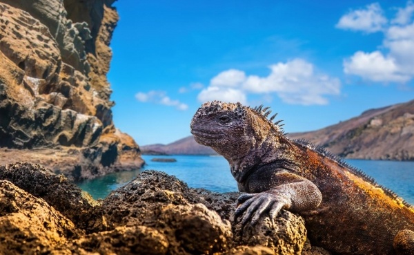 PANAMA - KOLUMBIA - ECUADOR ÉS A GALAPAGOS-SZIGETEK