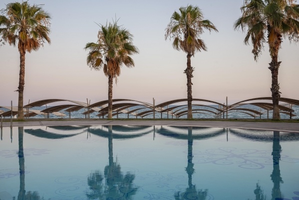 Papillon Belvil *****