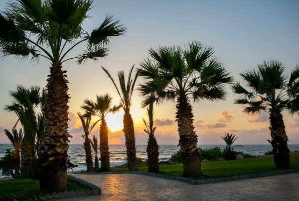 Louis Paphos Breeze Hotel 2025 tél