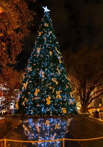 ADVENTI VARÁZSLAT BÉCSBEN - Adventi ízek és kultúra, adventi koncert Bécs elegáns palotájában ***
