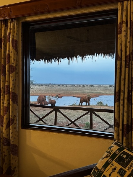 Szafari (2+5) - BETEKINTŐ, repülővel