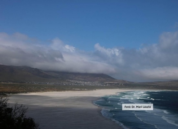 Dél-Afrikai körutazás, Fokföldi borral megkoronázva ***