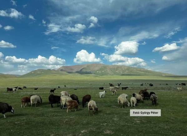 Kazahsztán és Kirgizisztán szállás