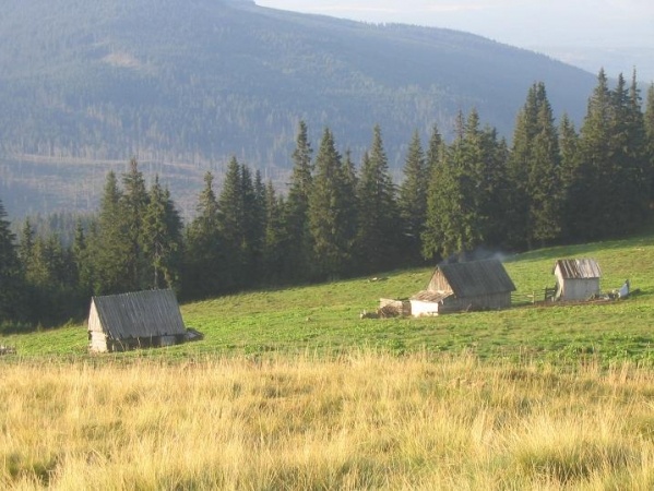 Észak Erdély-i nagykörút ***