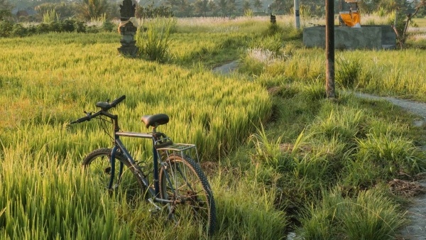 Buahan, a Banyan Tree Escape - 14 éjszakás