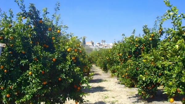 Leonidas Village Houses - 5 éjszakás