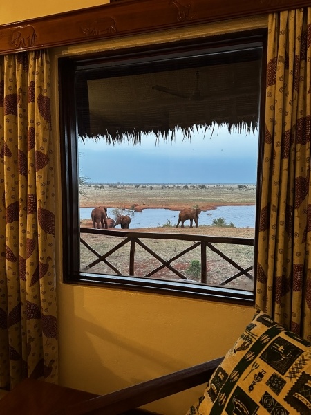 Szafari (1+6) - BETEKINTŐ, repülővel