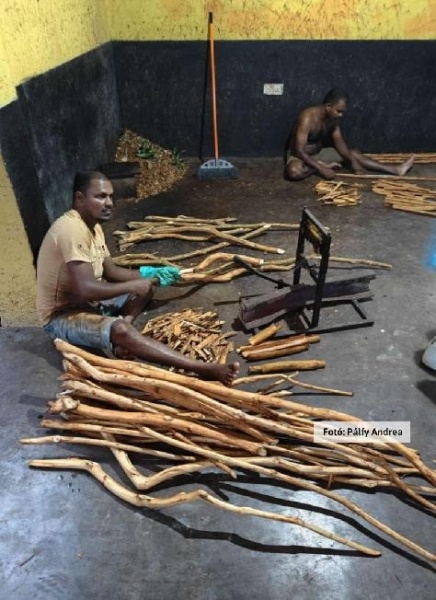 Nagykörút Sri Lankán