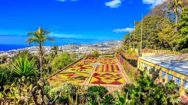 Madeira Csodái