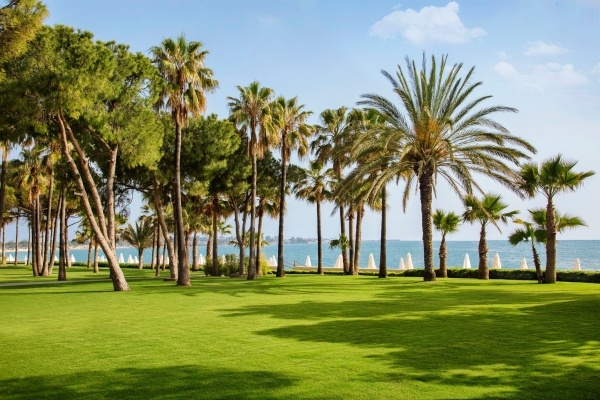 Acanthus Cennet Barut Collection  *****