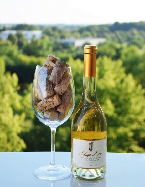 A Füzérradványi kastély és Tokaj városa