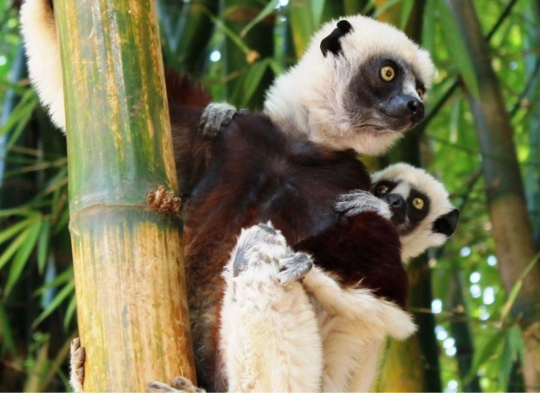 Nyaralás Madagaszkáron