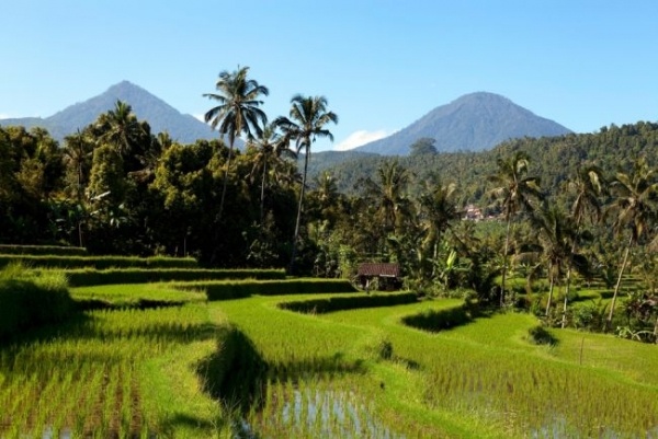 Bali: az istenek szigete -  csoportos utazás tengerparti pihenéssel, magyar idegenvezetővel  2027.01.21.-02.01.