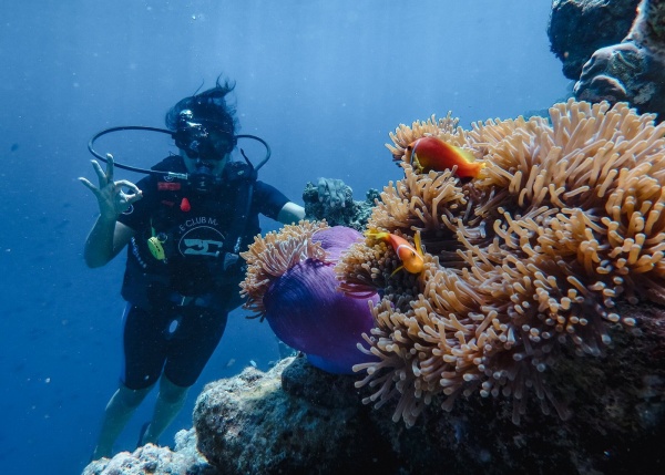 Maldív-szigetek / Furaveri Maldives*****