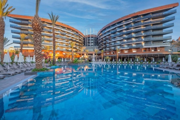 Calyptus Kirman Premium *****