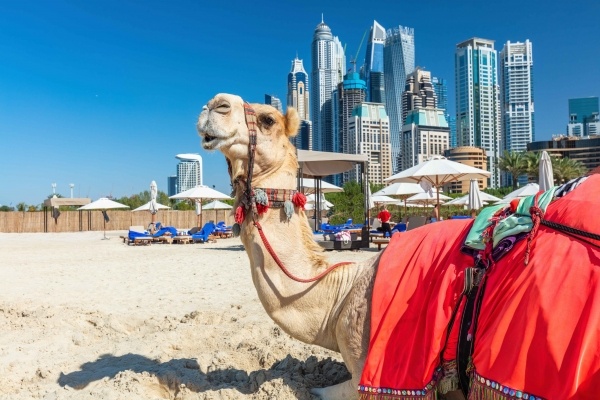 Szilveszter Dubajban - csoportos utazás magyar idegenvezetéssel 2026.12.29.- 2027.01.04.