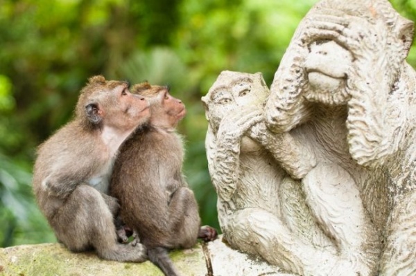 Bali: az istenek szigete -  csoportos utazás tengerparti pihenéssel, magyar idegenvezetővel  2026.09.17-28.