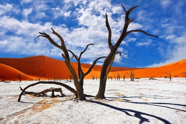 NAMÍBIA - BOTSWANA - ZIMBABWE