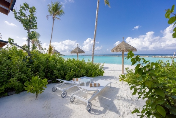 Joy Maledives