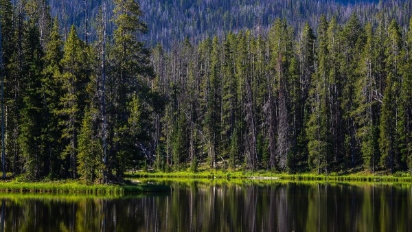 USA, YELLOWSTONE ÉS AZ IGAZI VADNYUGAT - HOSSZABBÍTÁSI LEHETŐSÉGGEL HAWAII-ON